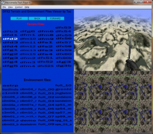 DFX2 Terrain and Environment  Viewer