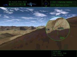 Desert Snipe