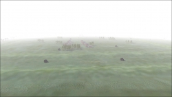 THE MIST