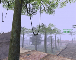 Jungle Raid
