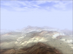 DESERT FIGHT