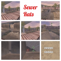 Sewer Rats