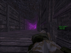 Cruel Catacombs