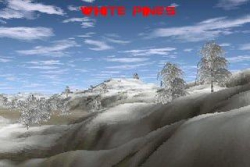 White Pines