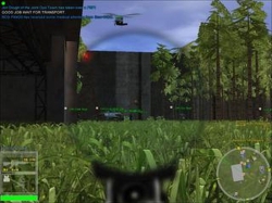%R&D% JUNGLE OF DECEPTION