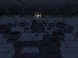 TD - Cage Match -DA-