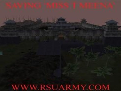 Saving 'Miss T Meena'