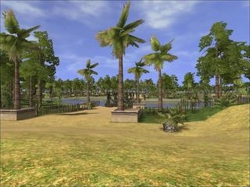 A Day at the park