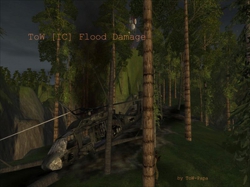 ToW [IC] Flood Damage