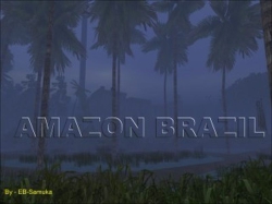 AMAZON BRAZIL