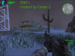 TDM 1