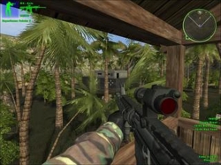 Jungle Brawl