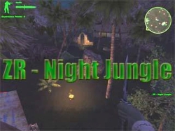 ZR - Night Jungle