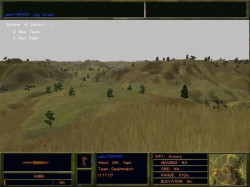 BIG FOREST