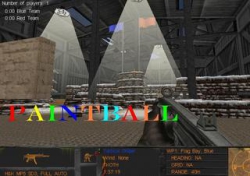 Paintball: Speedball Arena