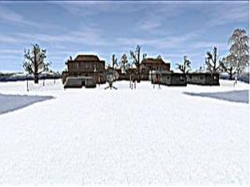 Snowy