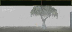Marsh Islands (foggy!!)