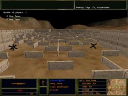 Rat Maze