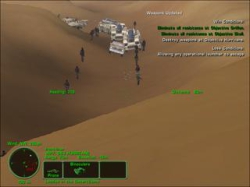 Loonies in the Desert