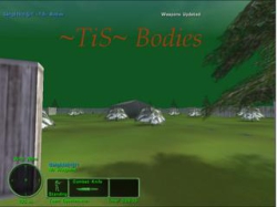 TiS Bodies