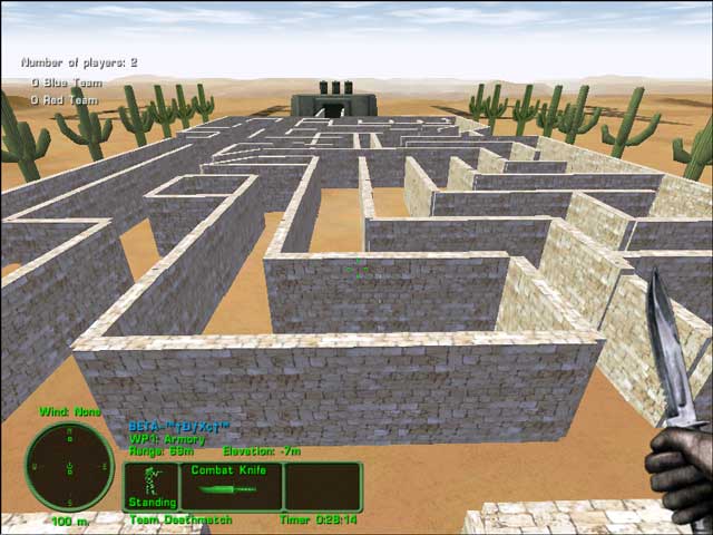 The Maze