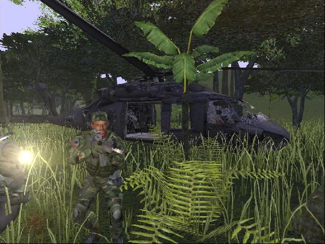 Bird down in the jungle