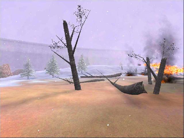 COLD KILLS
