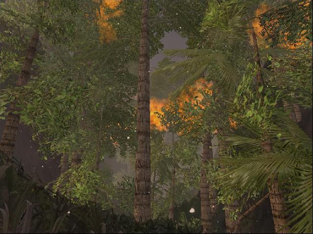 U-P Forest Power