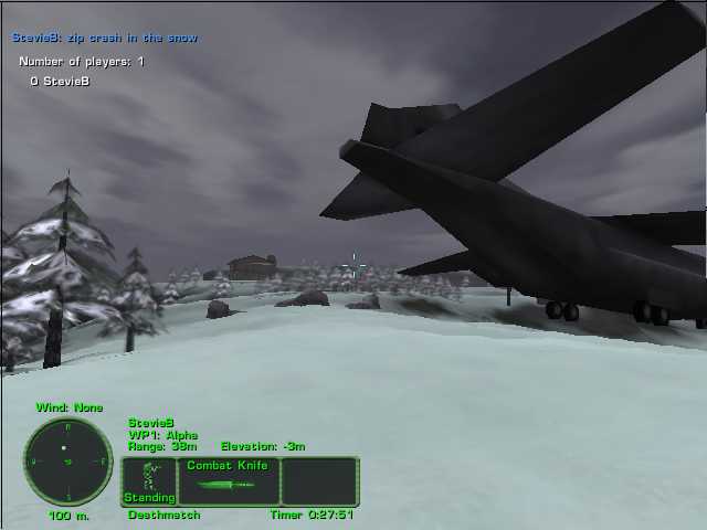 Crash In Snow