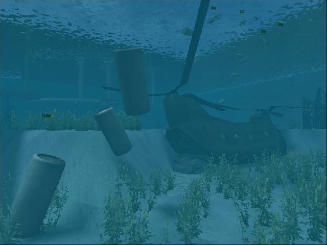 WFA Shark