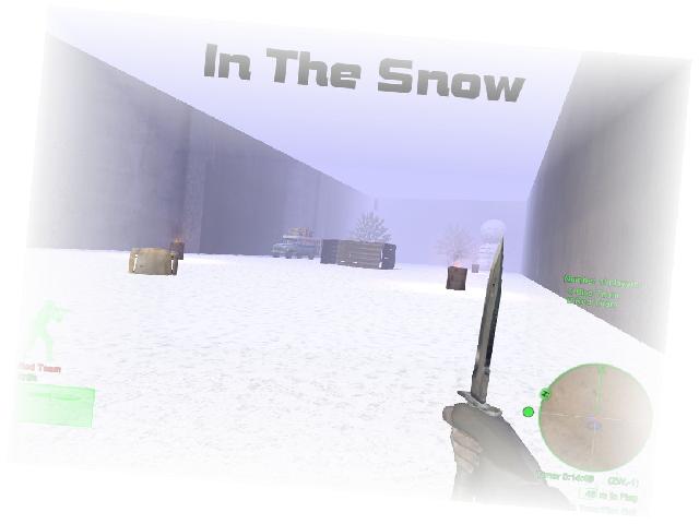 In The Snow