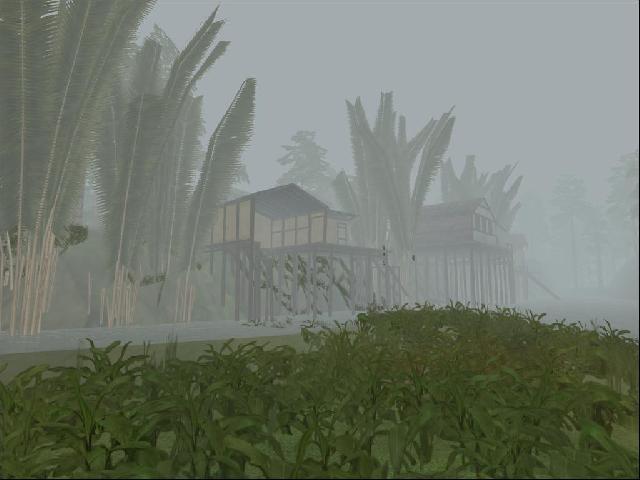 SwT Tropical Incursion