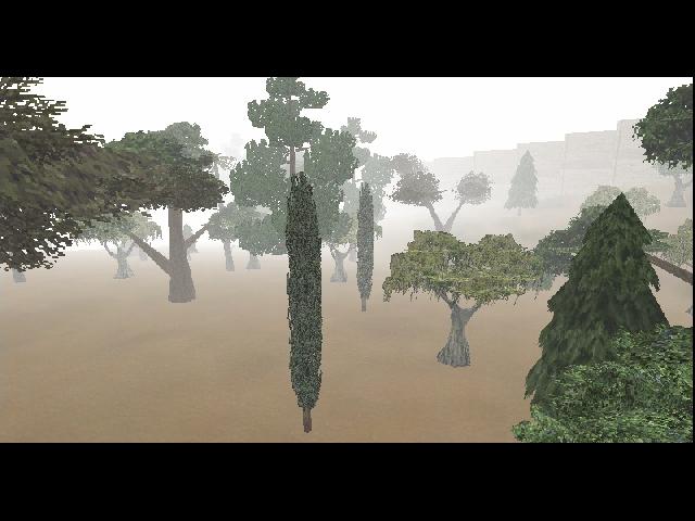 Forest