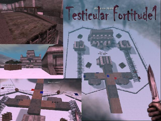Testicular Fortitude1