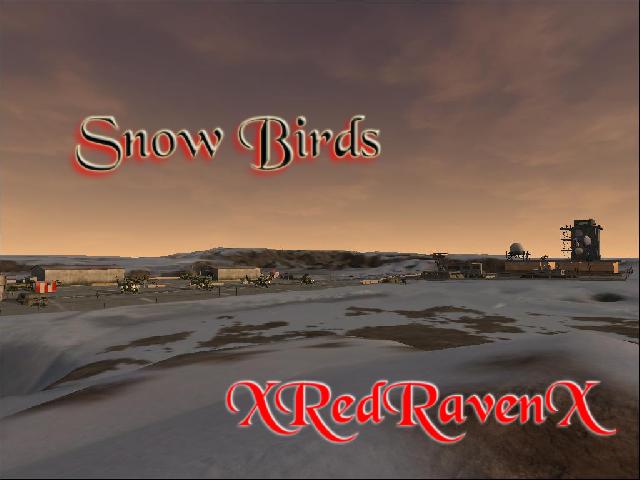 Snow Birds