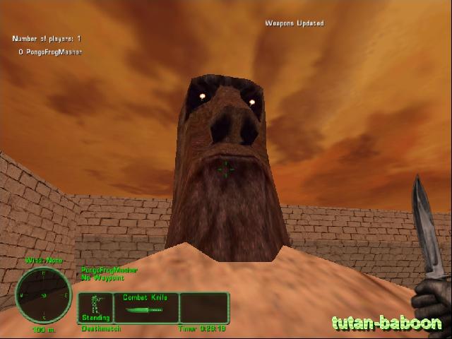 tutan-baboon