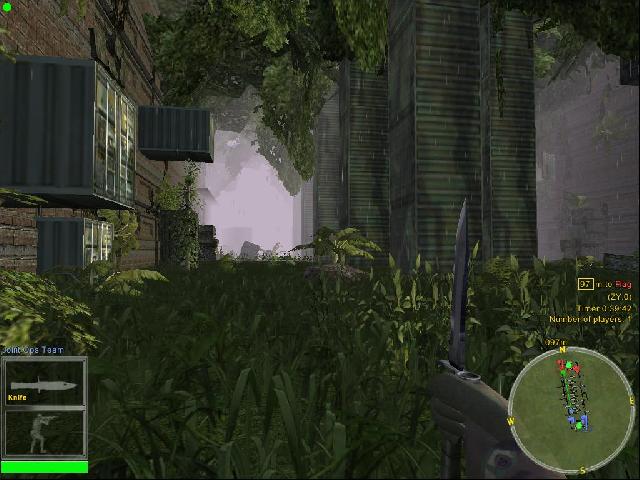 Container Jungle