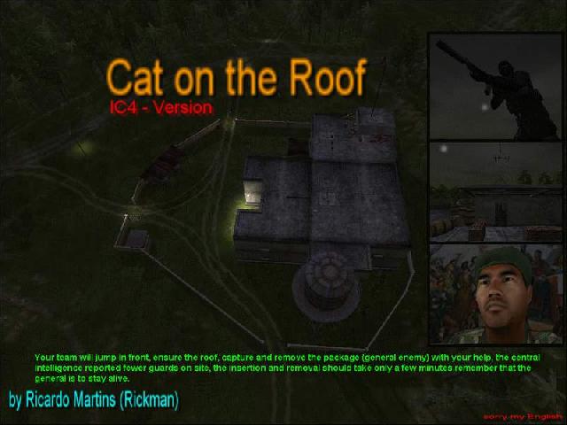 IC - Cat on the Roof