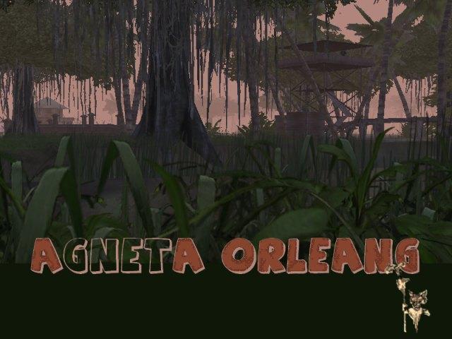 Field of Agneta Or Leang