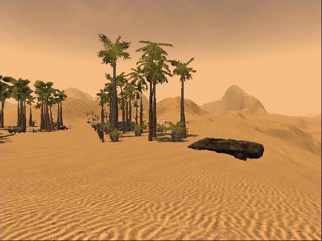 Sandy
