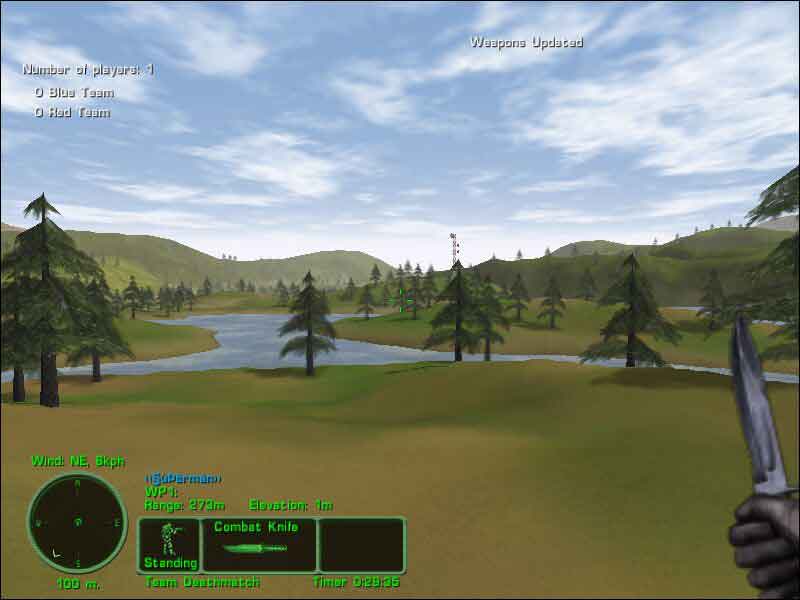 Forest