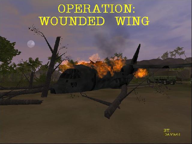 OPERATION:WOUNDED WING